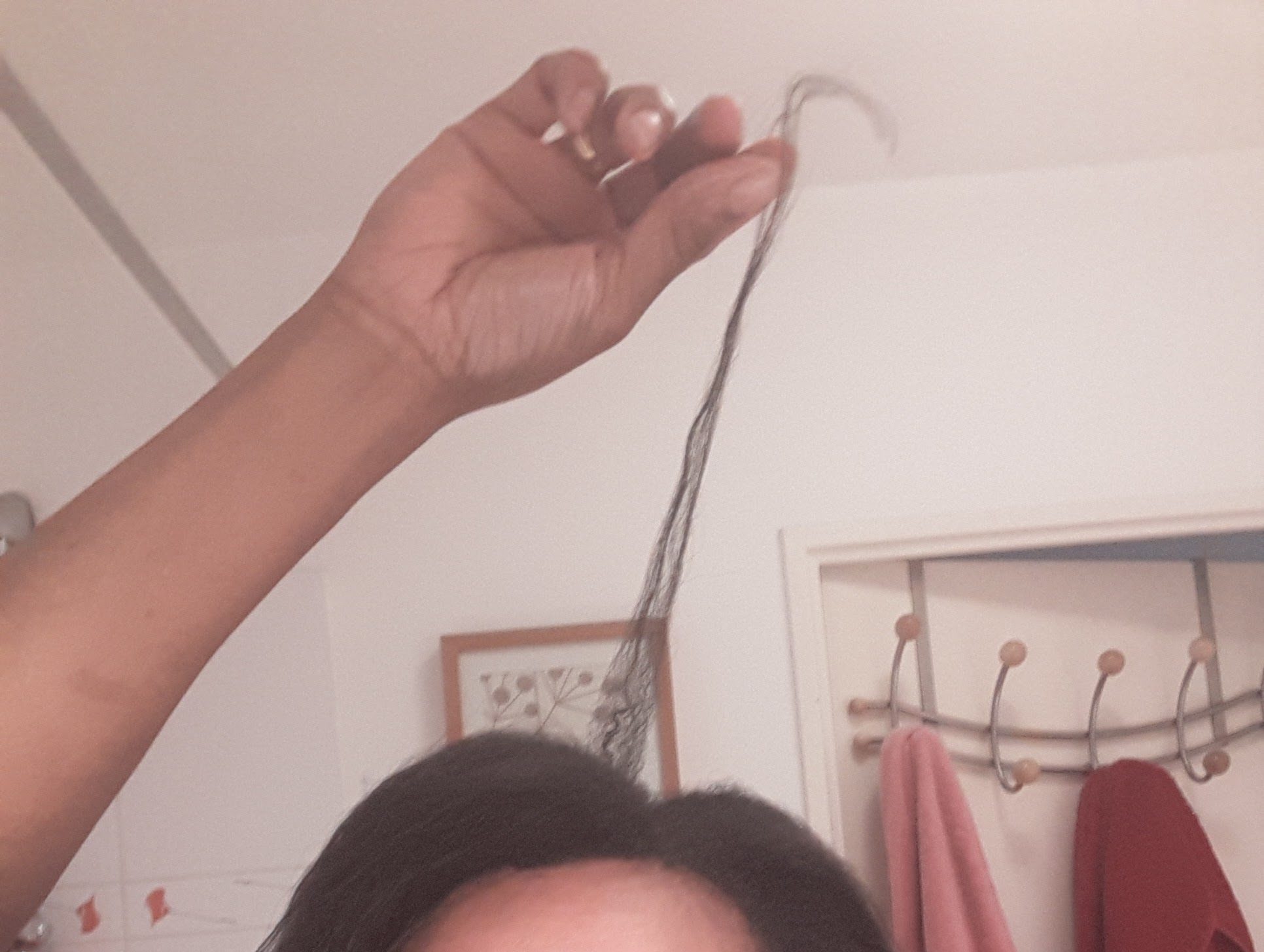 mai 2016, je fais connaissance avec mes 1ères bouclettes
