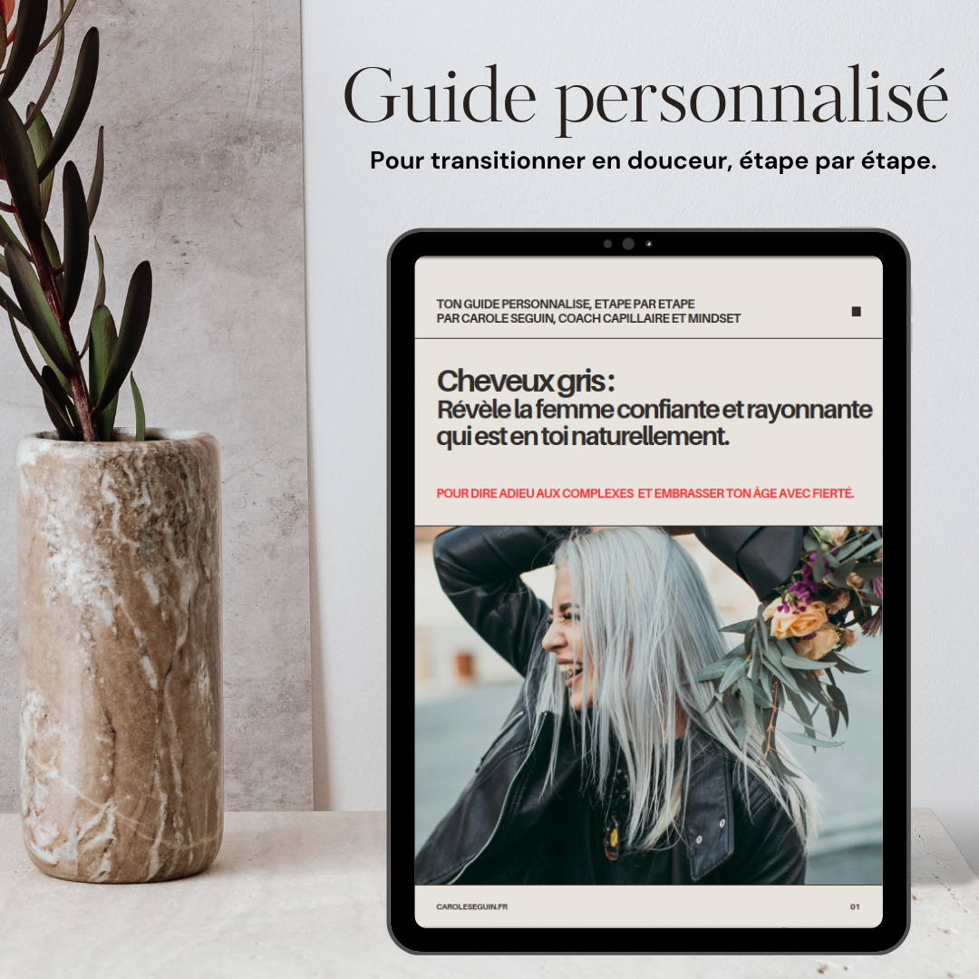 Couverture du Guide cheveux gris